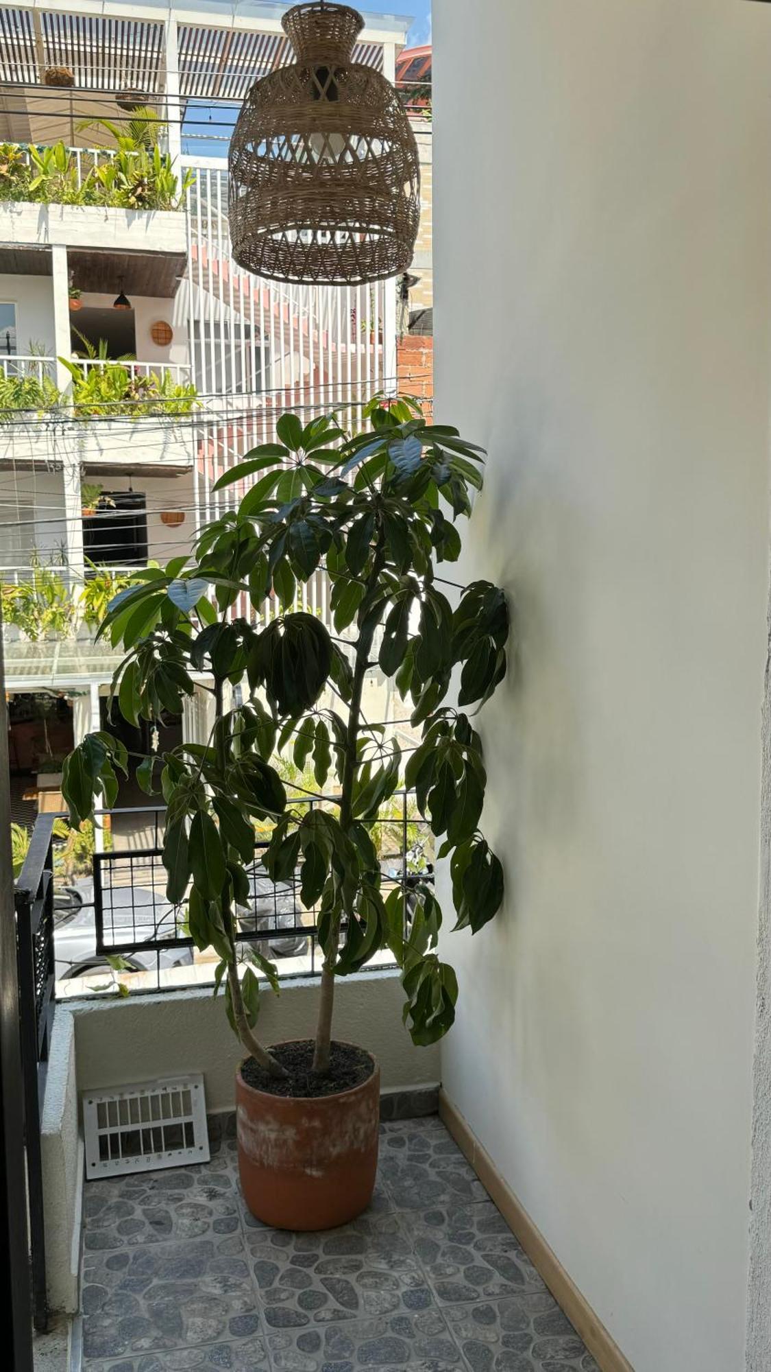 Luum Casa Hotel Manila Medellin Exterior photo